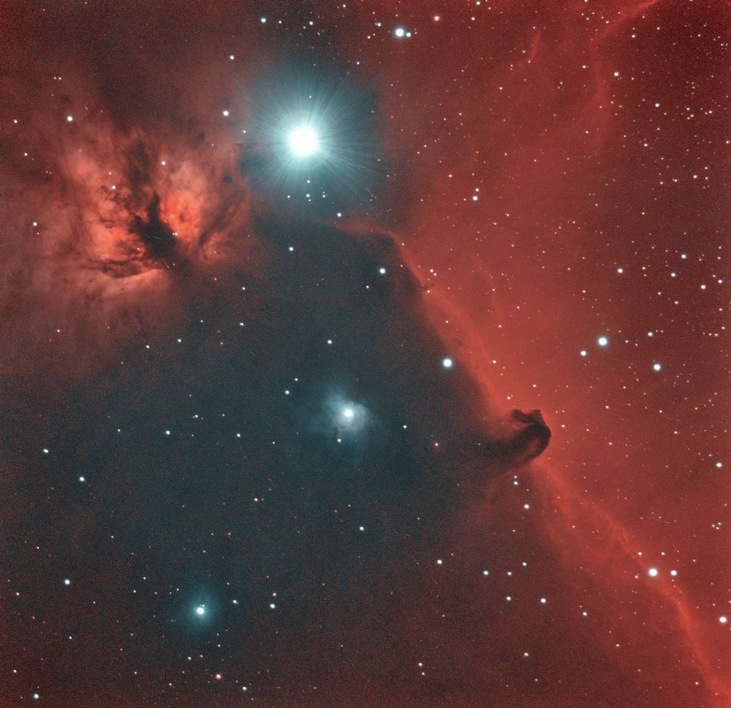 Flame and Horsehead Nebula – Night Sky in Focus