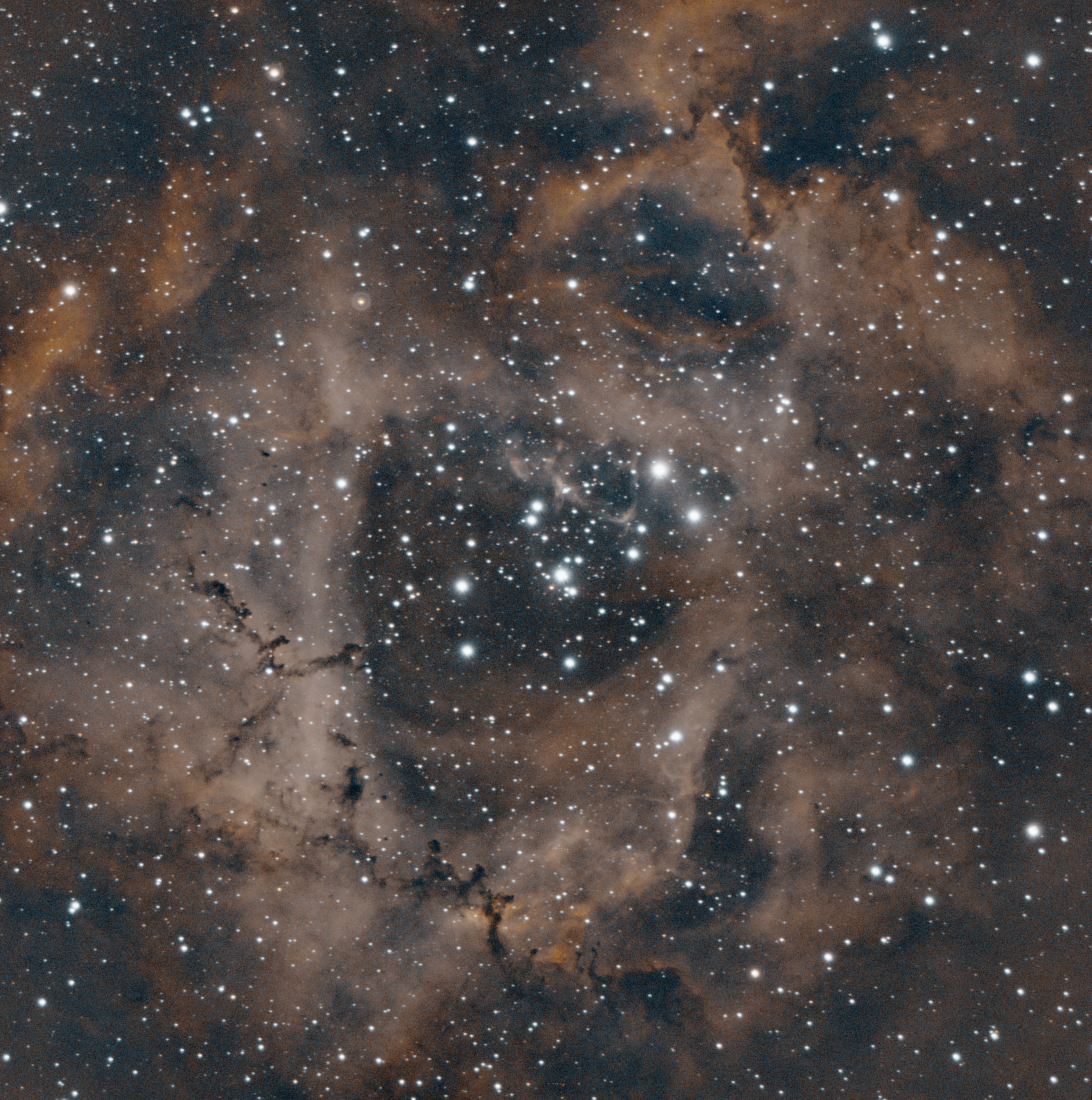 Rosette Nebula – Night Sky in Focus